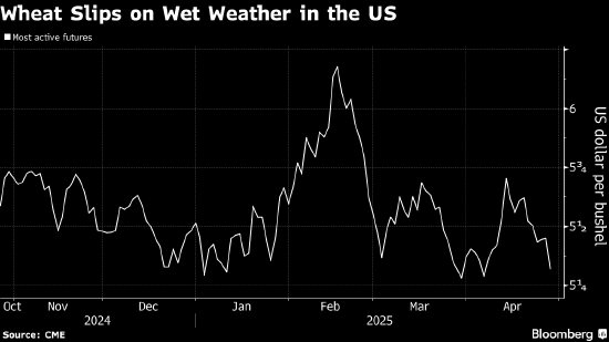 小麦期货下跌 降雨解除美国旱情